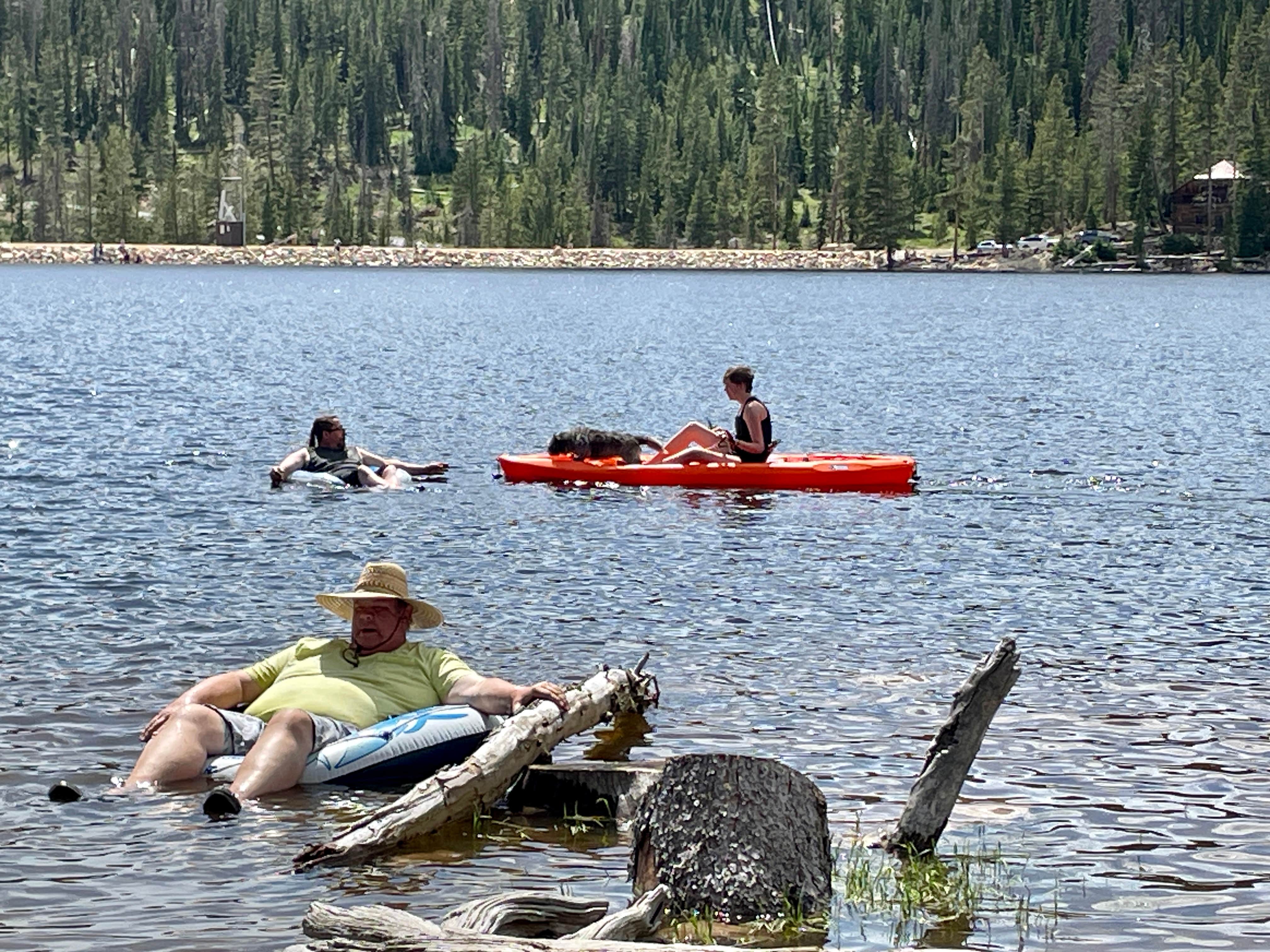 Chris B.'s photo of camping with pets at Trial Lake Campground near Oakley, UT