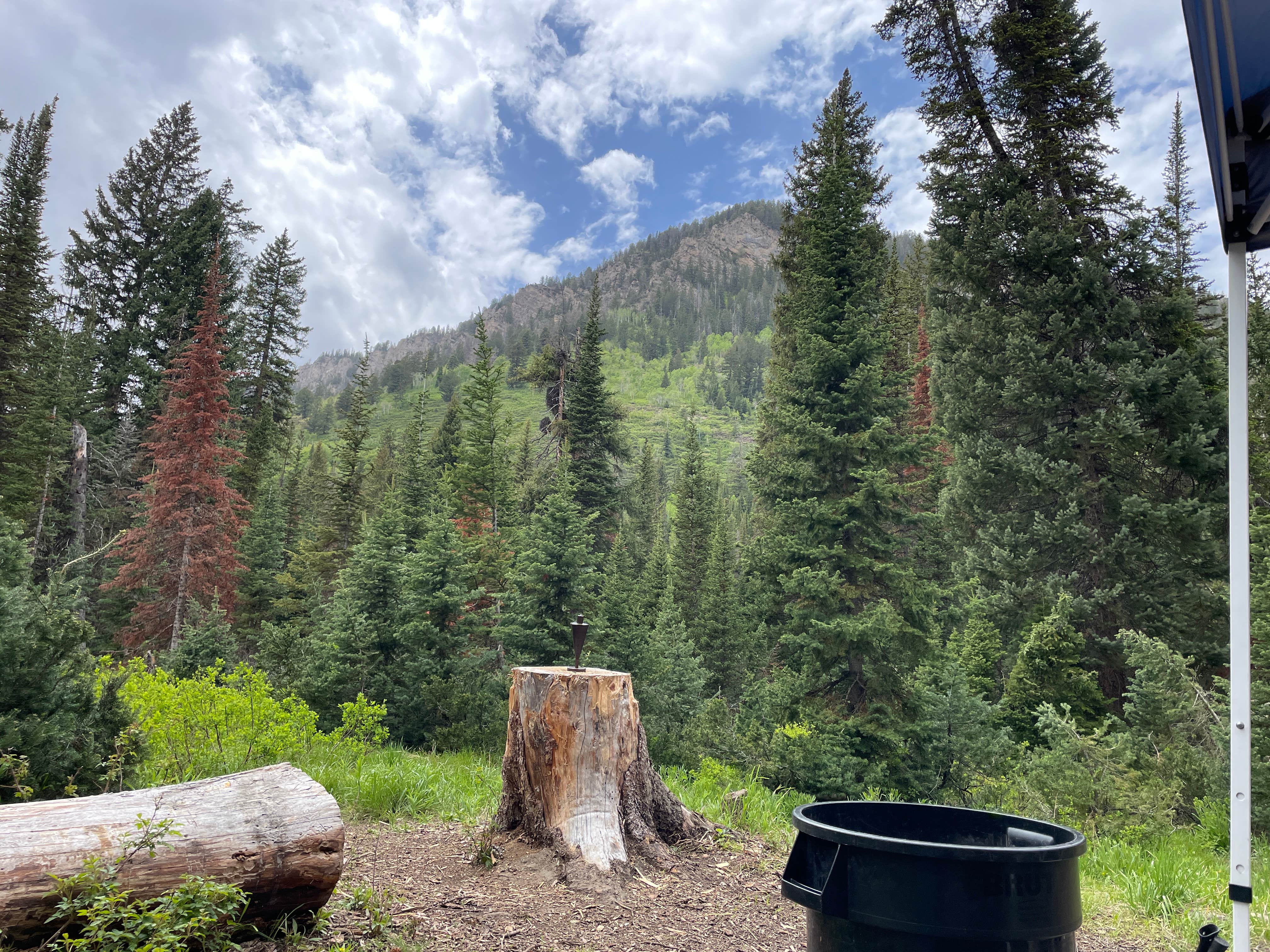 Camper submitted image from Ledgefork - Jordanelle State Park - 1