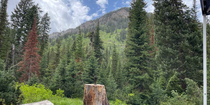 Camper submitted image from Ledgefork - Jordanelle State Park