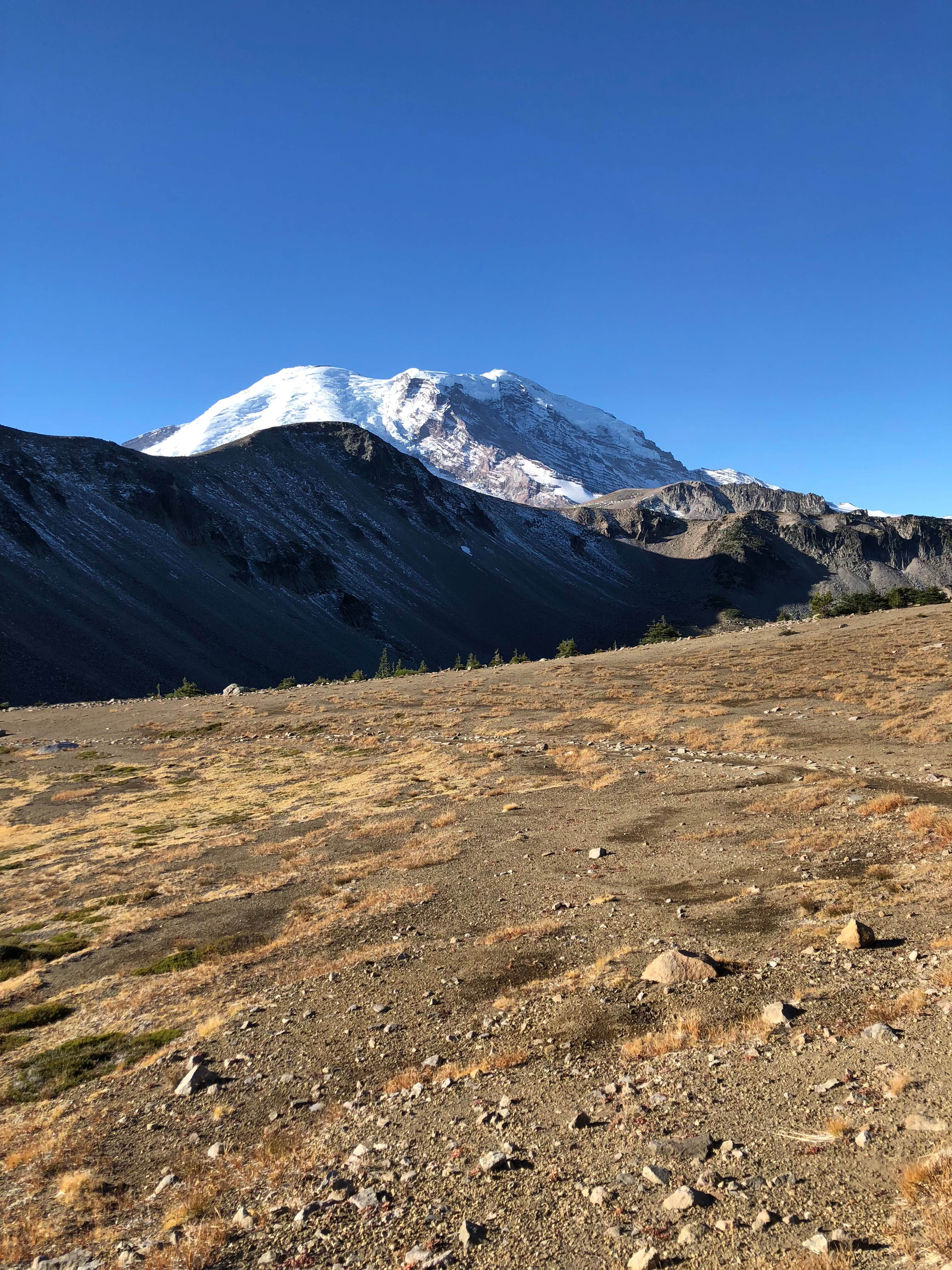 Camper-submitted photo at Ipsut Creek Backcountry Campground — Mount Rainier National Park near Lake Tapps, WA