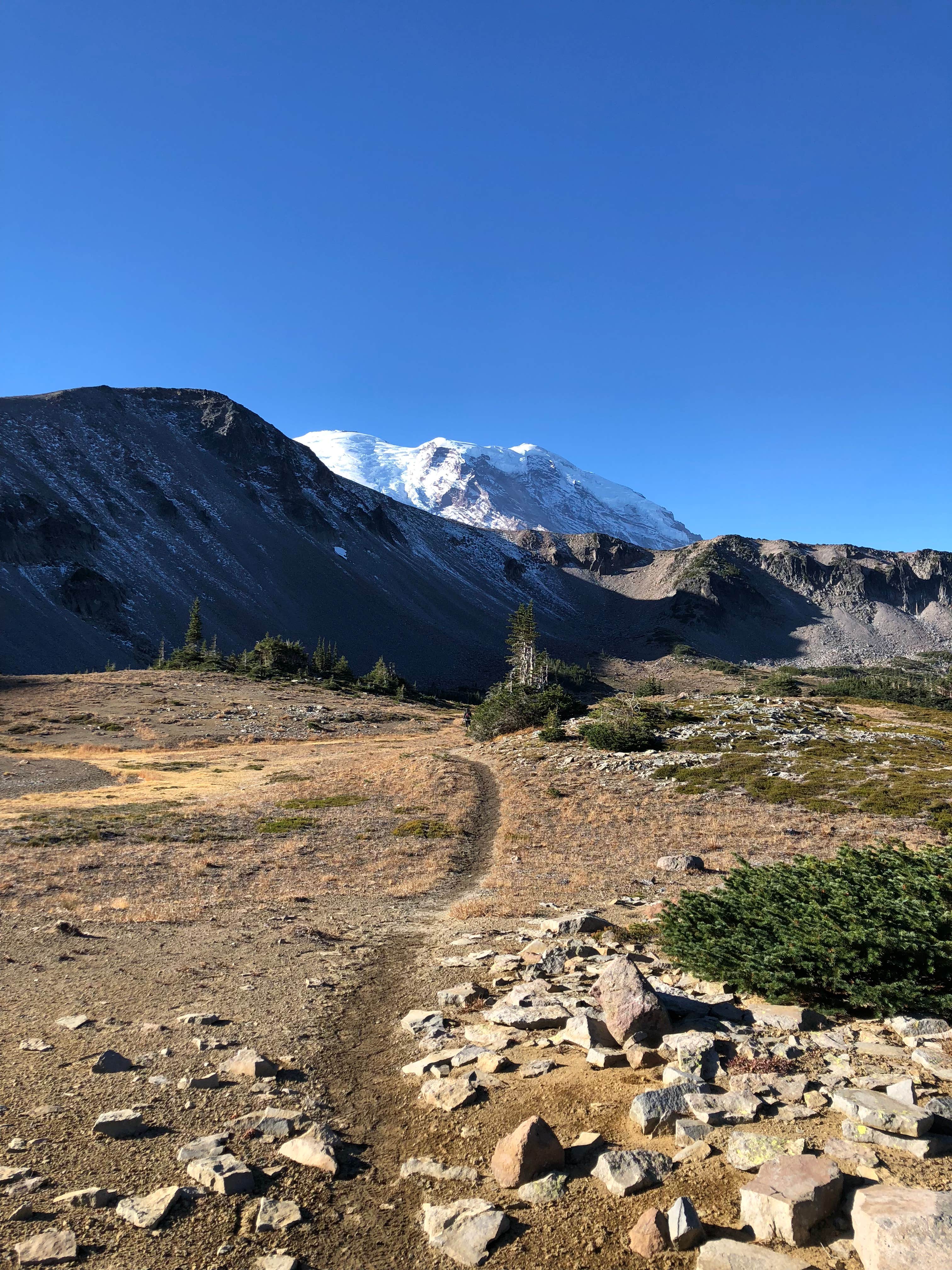 Camper-submitted photo at Ipsut Creek Backcountry Campground — Mount Rainier National Park near Lake Tapps, WA