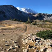 Review photo of Ipsut Creek Backcountry Campground — Mount Rainier National Park by Drew W., October 31, 2018