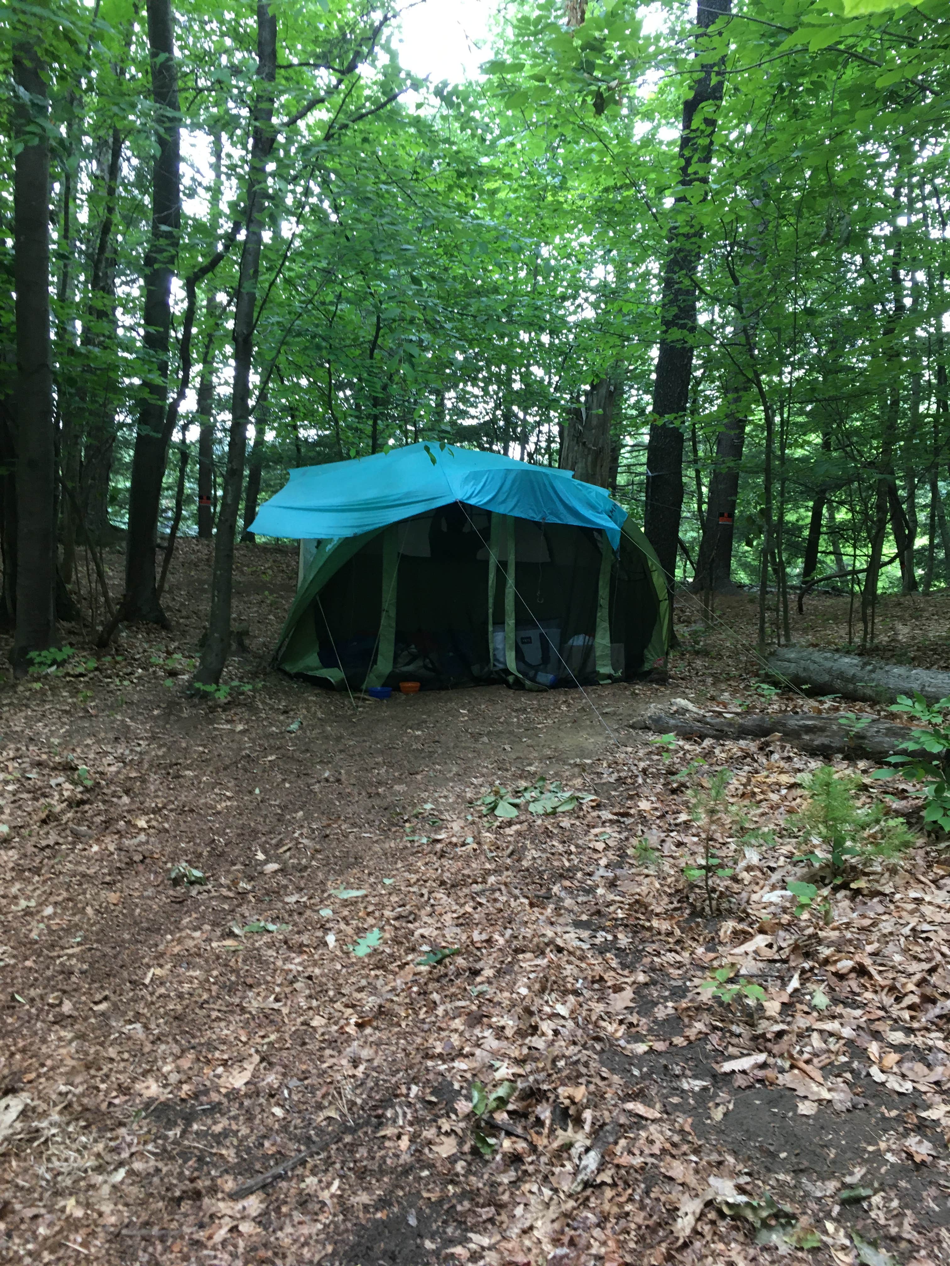 Camper-submitted photo at Maple Ridge Farm near Whately, MA