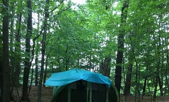Camping near Erving State Forest: Maple Ridge Farm, Vernon, Vermont