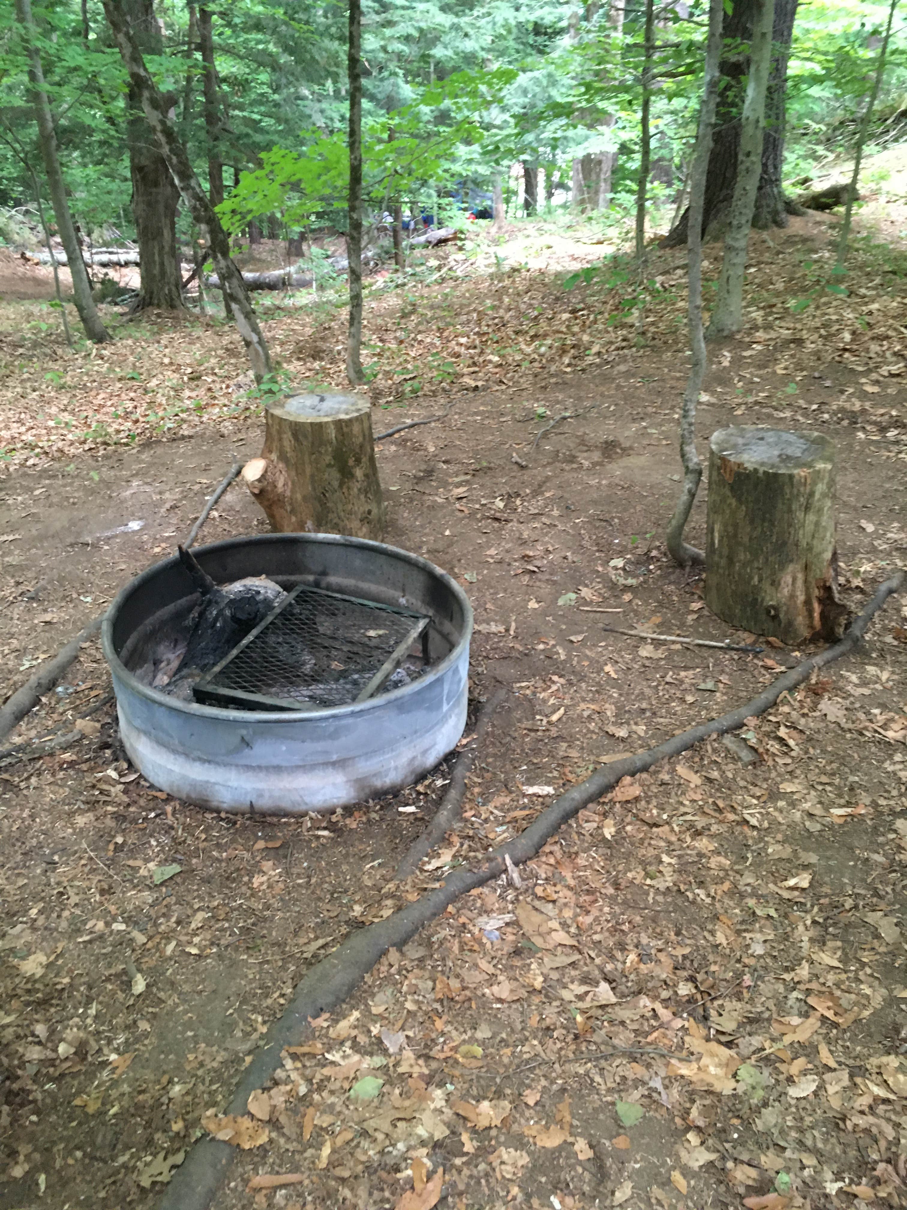 Camper-submitted photo at Maple Ridge Farm near Whately, MA