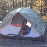 Review photo of Samuel F. Pryor III Shawangunk Gateway Campground by Leslie R., September 17, 2023