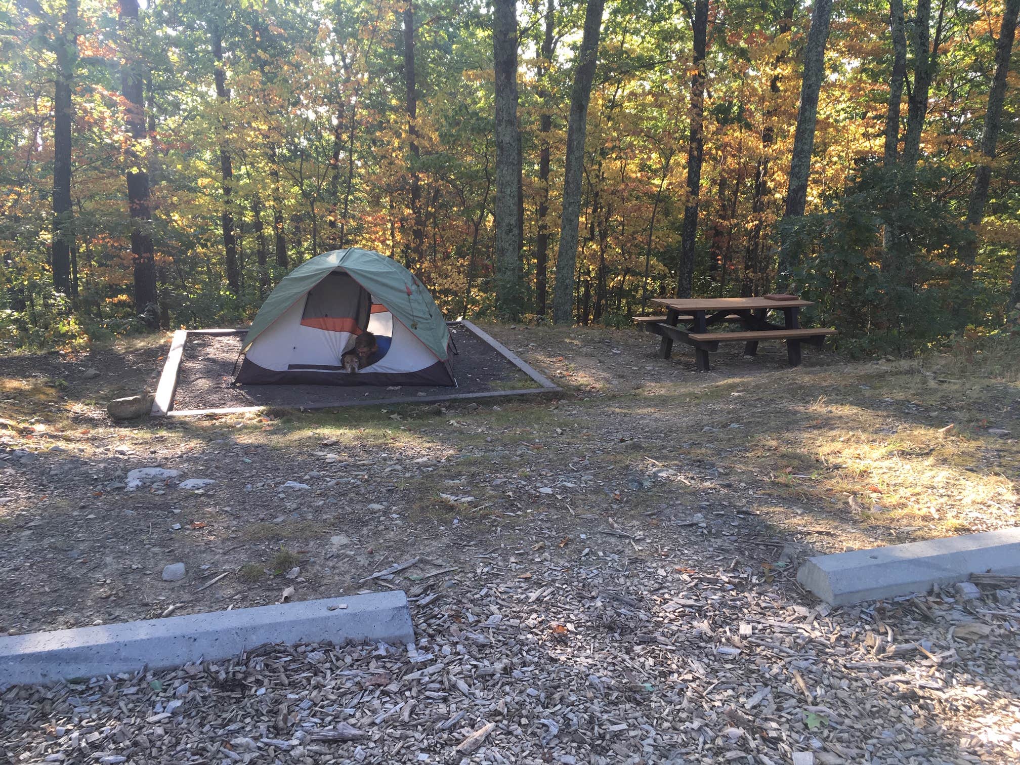 Les R.'s photo at Samuel F. Pryor III Shawangunk Gateway Campground near New Paltz, NY