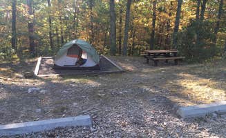 Les R.'s photo of tent camping at Samuel F. Pryor III Shawangunk Gateway Campground near Spring Glen, NY