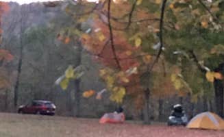 Les R.'s photo of tent camping at AAC Rattlesnake Campground near Hartford, VT