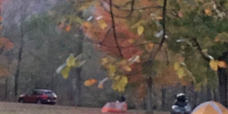 Camper submitted image from AAC Rattlesnake Campground