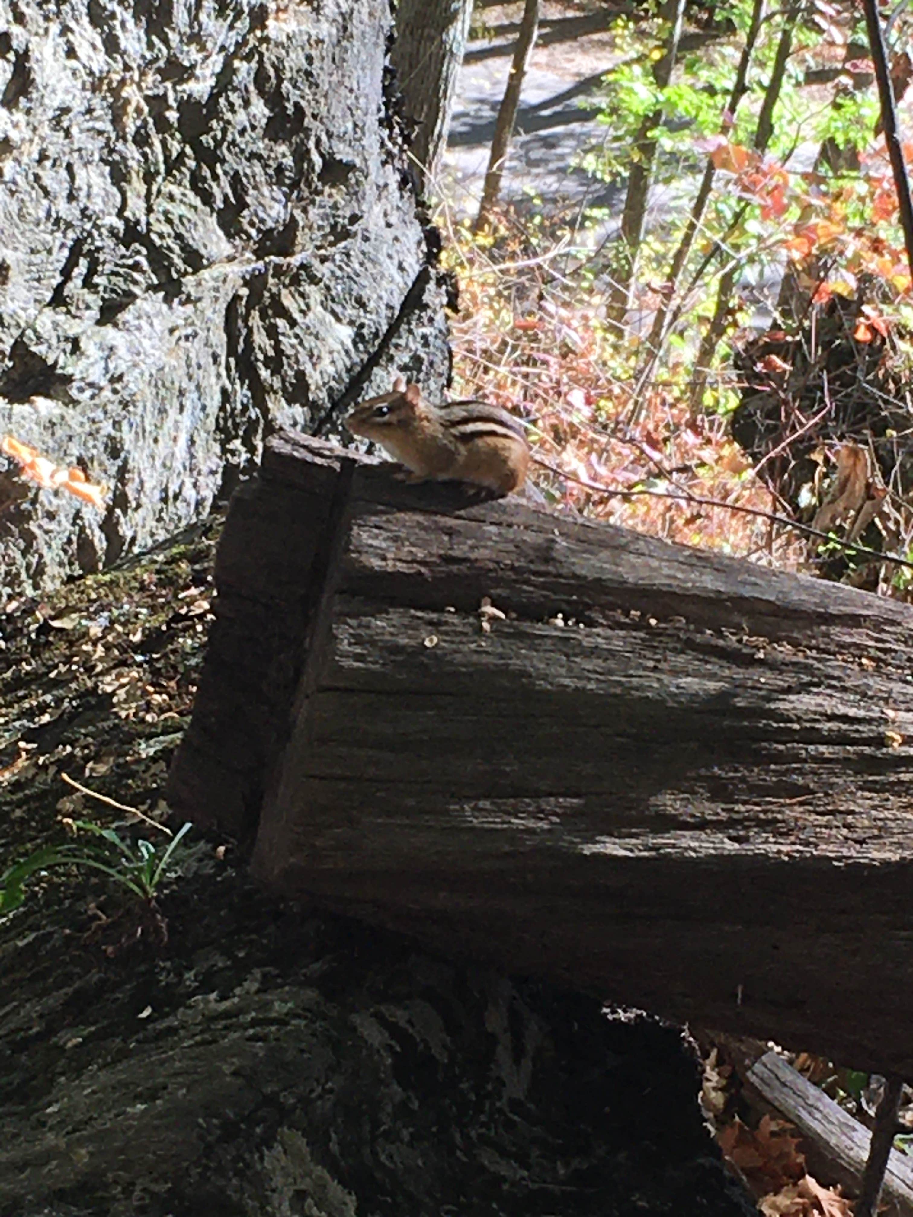 AAC Rattlesnake Campground Rumney, NH
