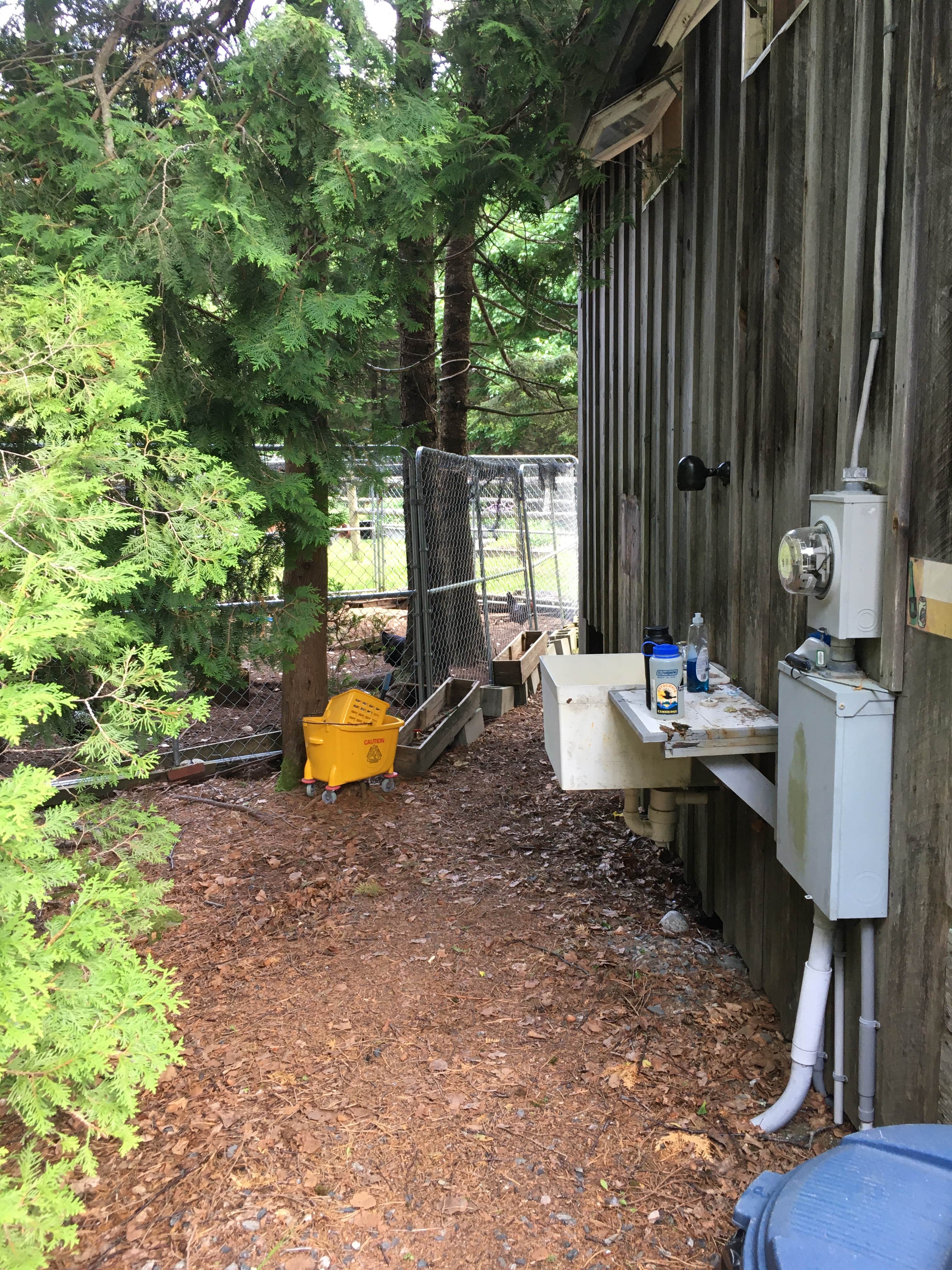 Camper-submitted photo at Quietside Campground near Seal Harbor, ME