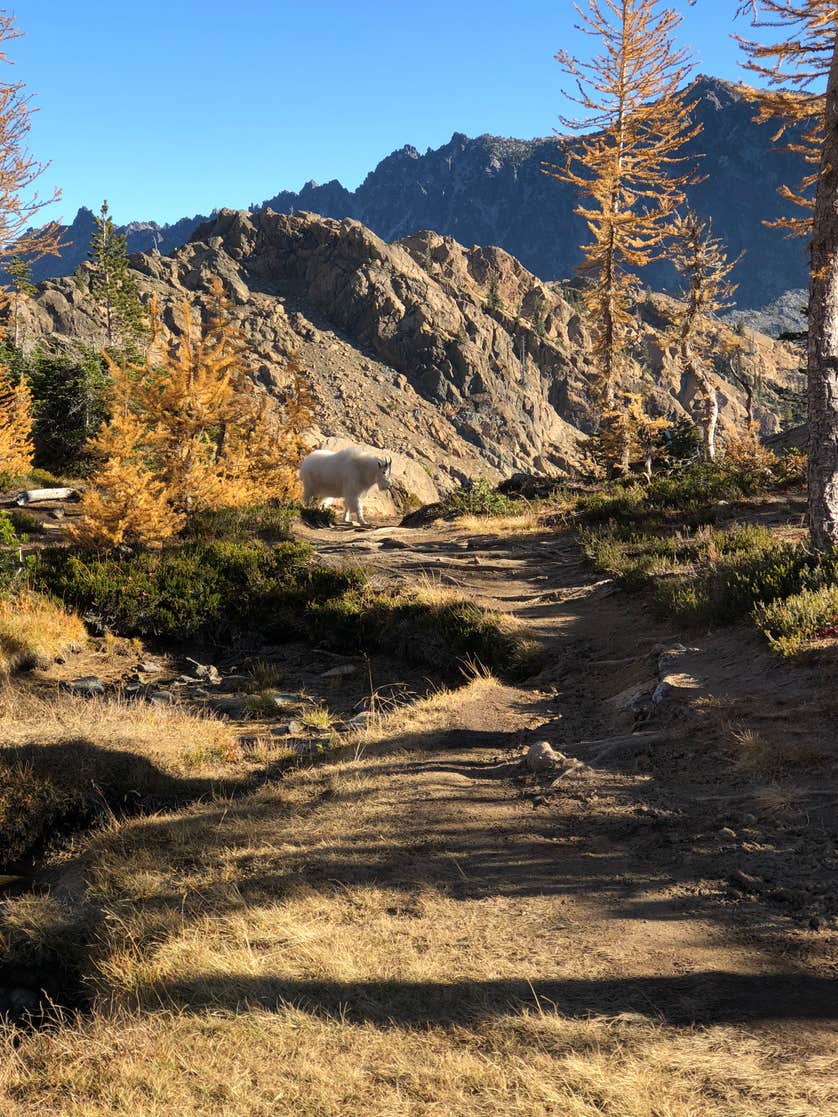 Cle Elum River Campground The Dyrt