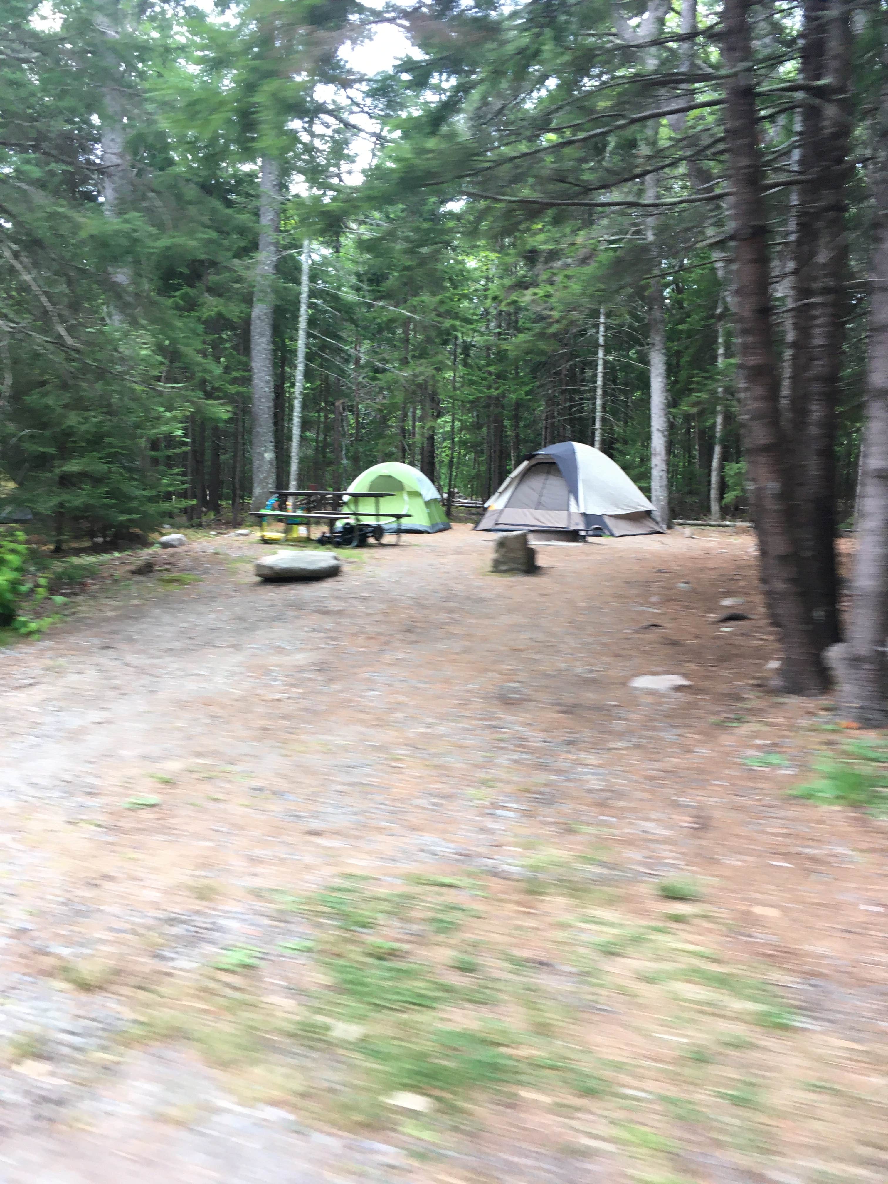 Camper-submitted photo at Quietside Campground near Seal Harbor, ME