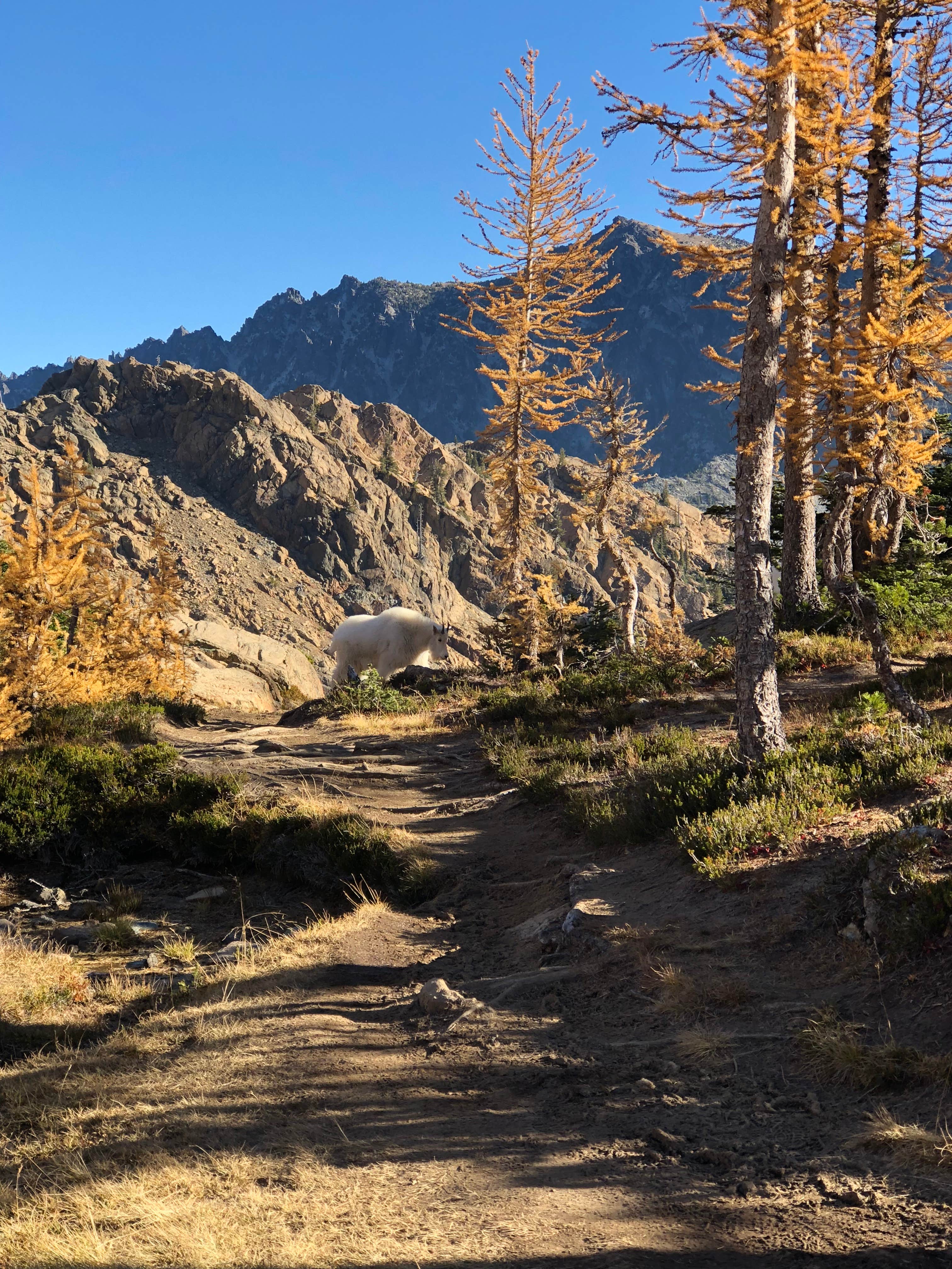 Cle Elum River Campground The Dyrt