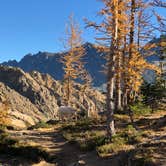 Review photo of Cle Elum River Campground by Drew W., October 31, 2018