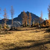 Review photo of Cle Elum River Campground by Drew W., October 31, 2018