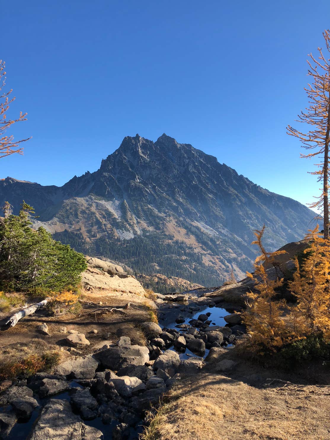 Cle Elum River Campground | The Dyrt