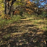 Review photo of Wallace State Park Campground by Hallie C., October 31, 2018