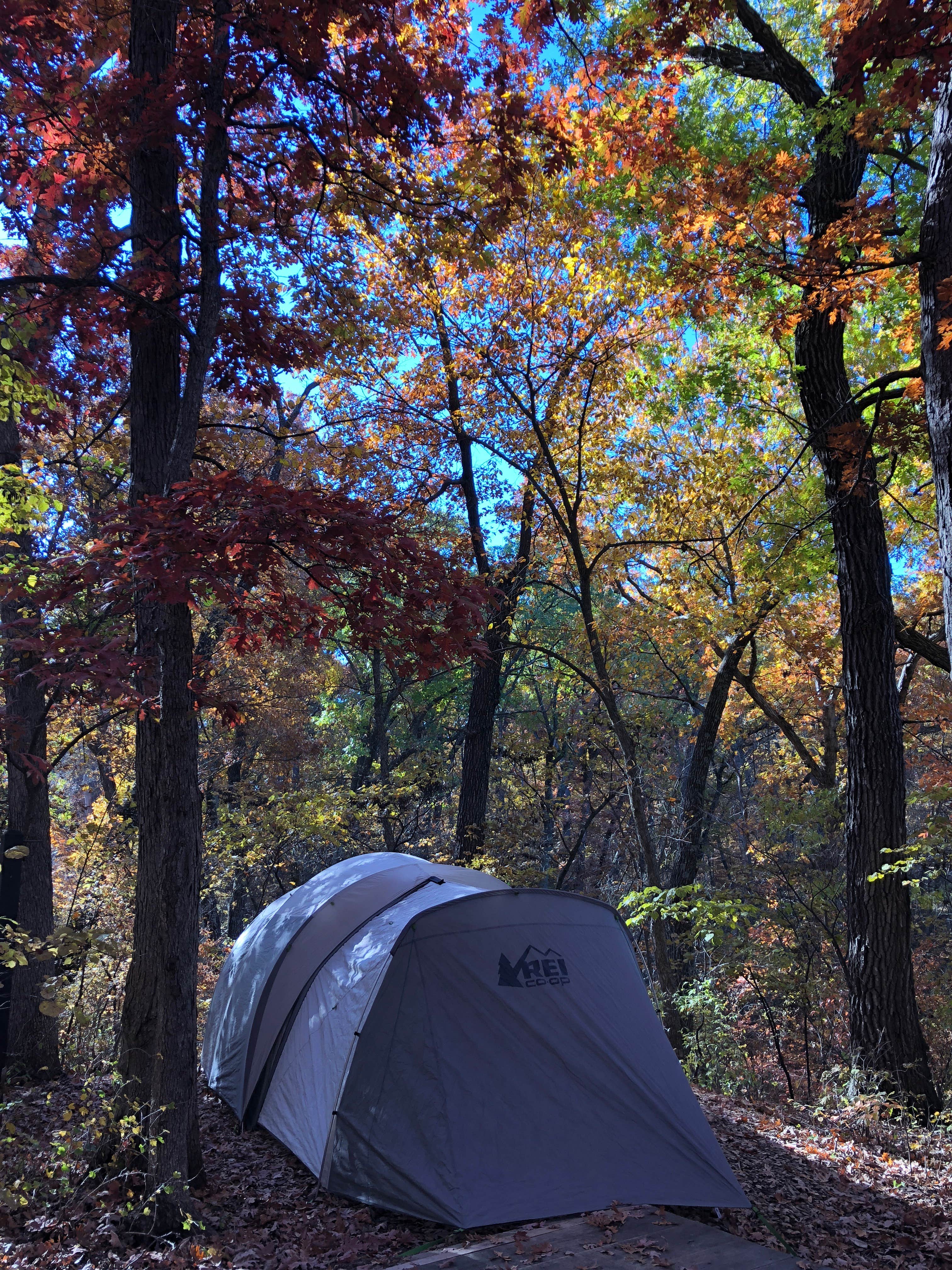 Hallie C.'s photo at Wallace State Park Campground near Smithville, MO