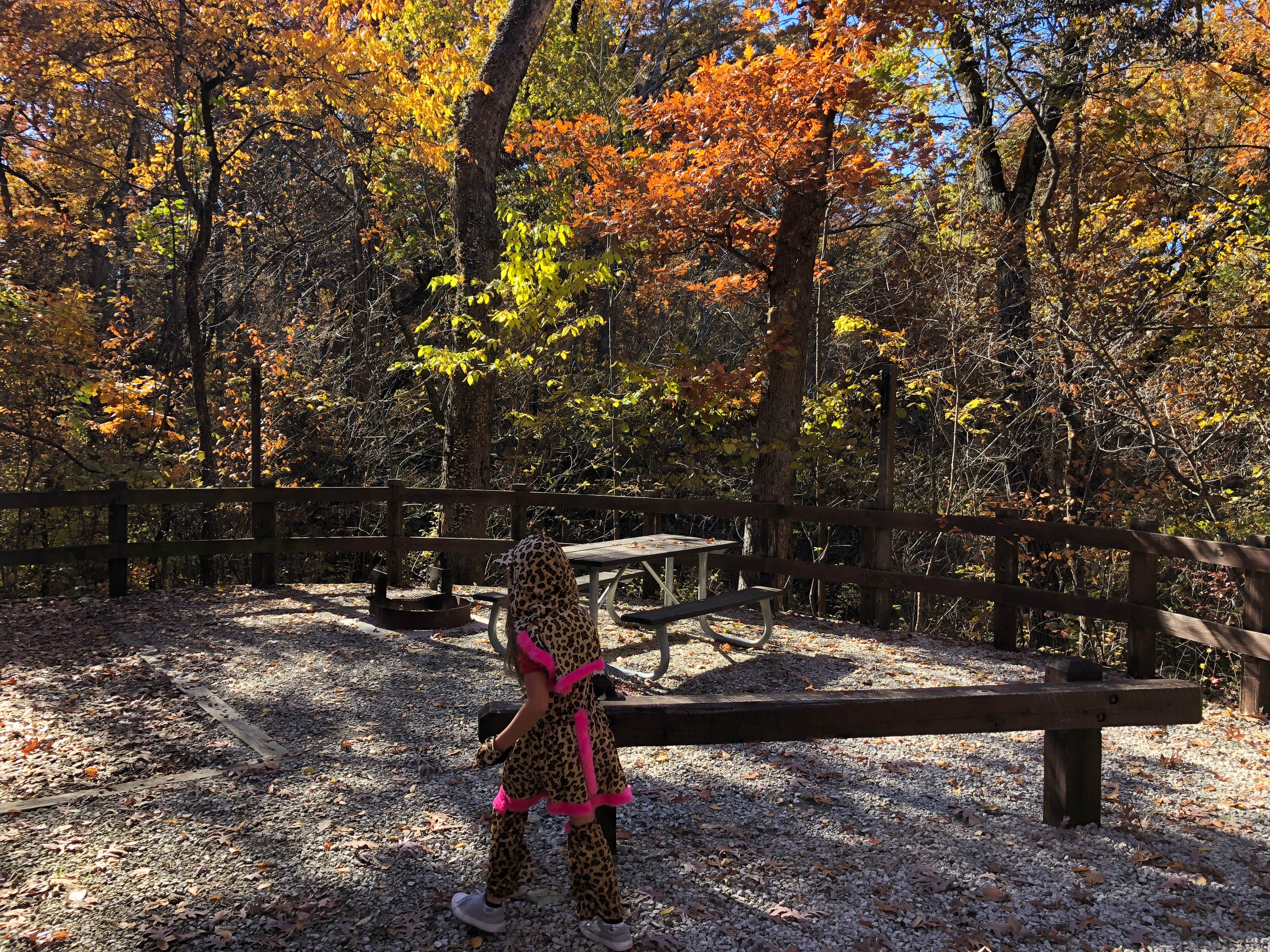 Camper-submitted photo at Wallace State Park Campground near Plattsburg, MO