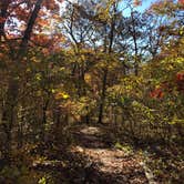 Review photo of Wallace State Park Campground by Hallie C., October 31, 2018