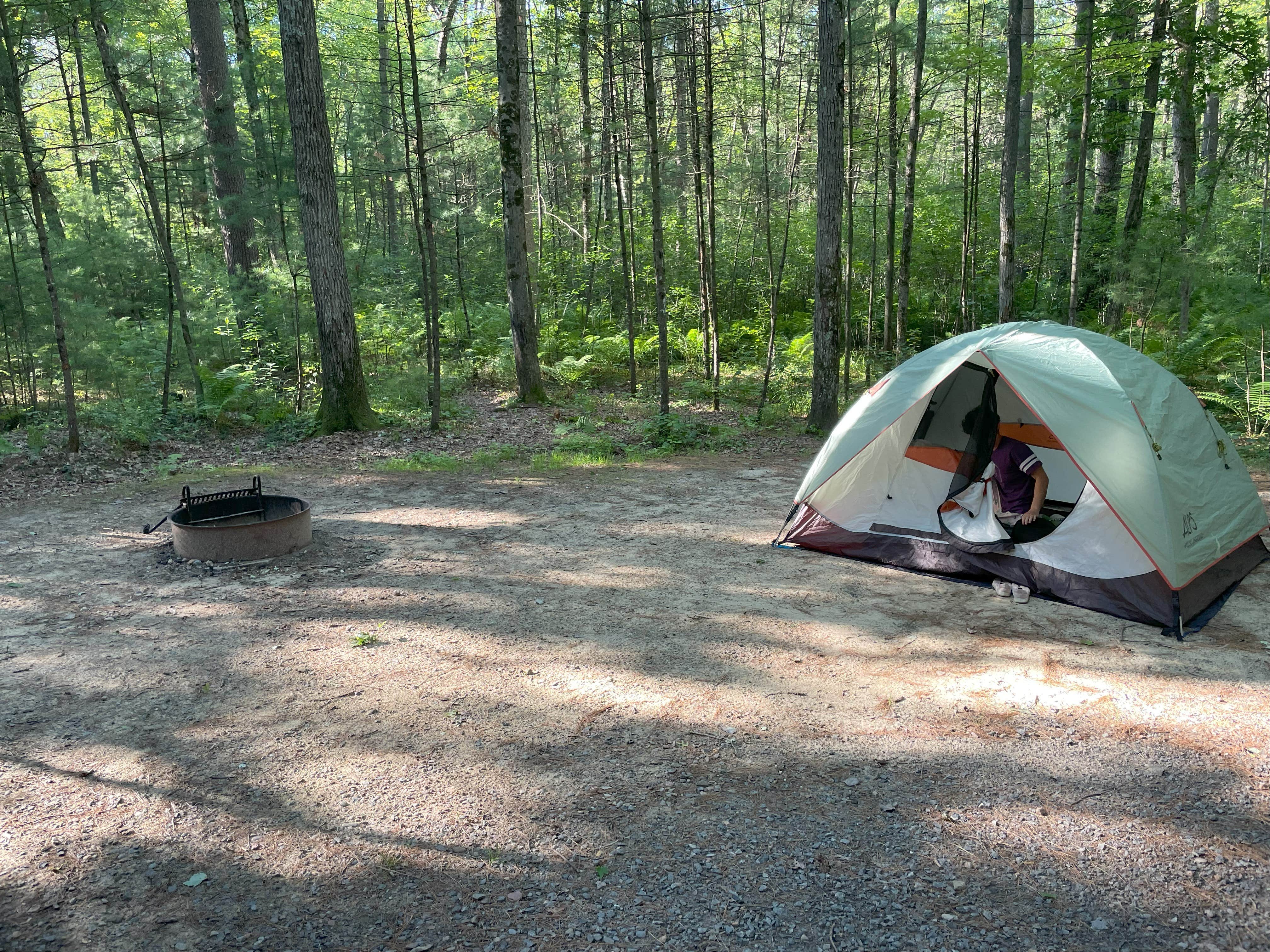 Les R.'s photo at Castle Mound Campground — Black River State Forest near Black River Falls, WI