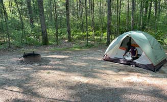 Les R.'s photo at Castle Mound Campground — Black River State Forest near Humbird, WI
