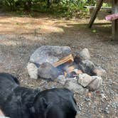 Review photo of Fransted Family Campground  by Thomas B., September 17, 2023
