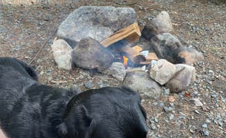 Thomas B.'s photo of camping with pets at Fransted Family Campground near West Newbury, VT
