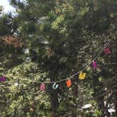 Review photo of Reverend's Ridge Campground — Golden Gate Canyon by Kristin A., October 31, 2018