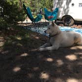 Review photo of Reverend's Ridge Campground — Golden Gate Canyon by Kristin A., October 31, 2018