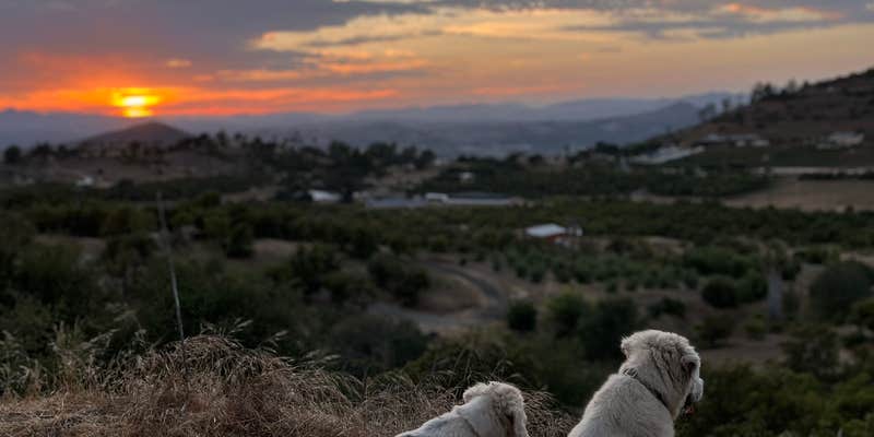 Camper submitted image from Provisions Farm