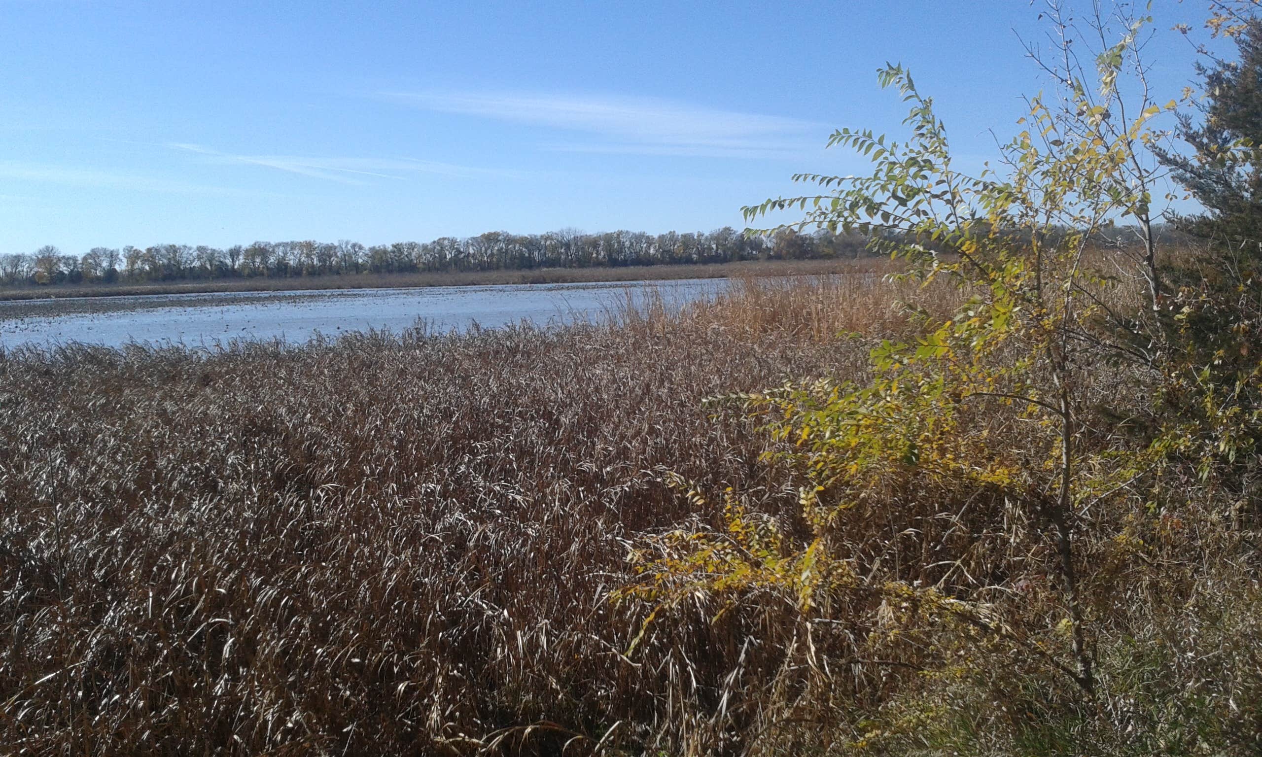 Camping near Madison County Fairgrounds: Lake North, Columbus, Nebraska