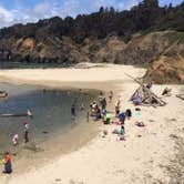Review photo of Woodside Campground — Salt Point State Park by Martin R., July 15, 2015
