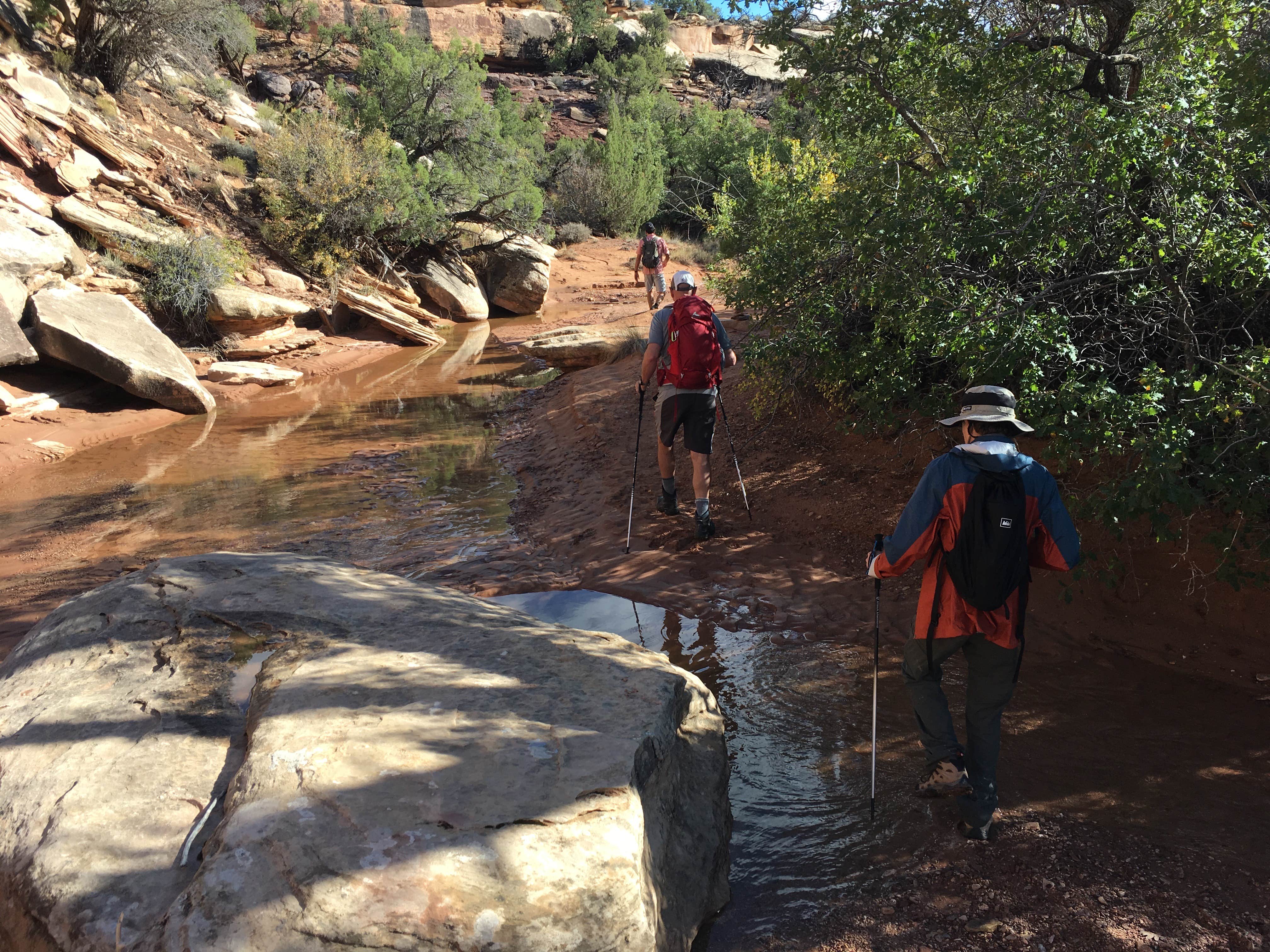 Camper submitted image from Elephant Canyon 2 (EC2) — Canyonlands National Park - 5