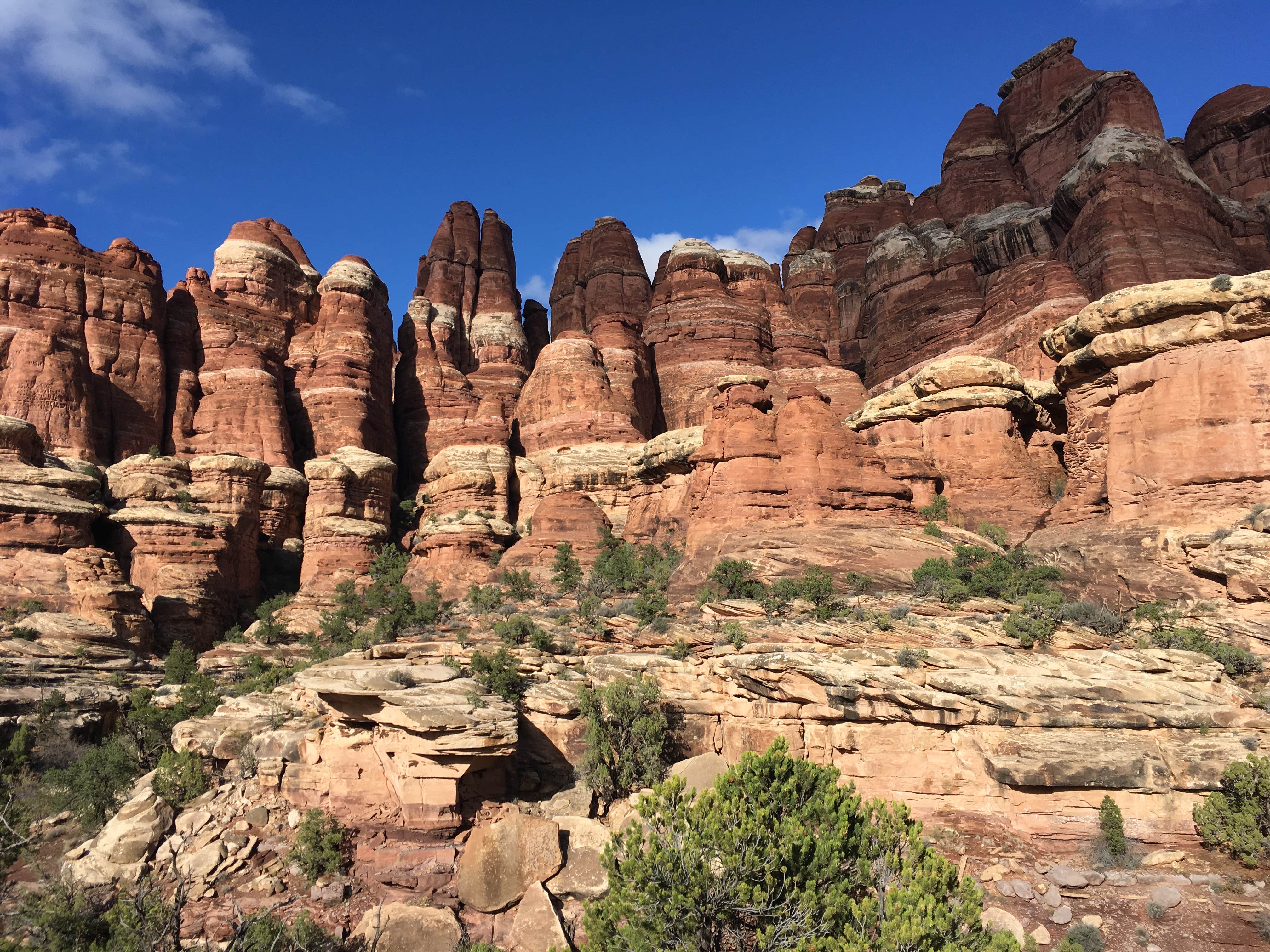 Camping near Maze Overlook — Canyonlands National Park: Elephant Canyon 2 (EC2) — Canyonlands National Park, Canyonlands National Park, Utah
