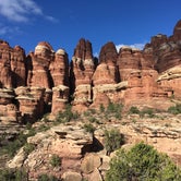 Review photo of Elephant Canyon 2 (EC2) — Canyonlands National Park by Troy W., October 31, 2018