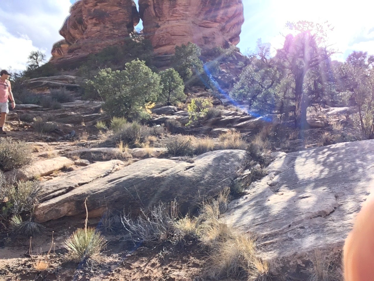 Camper submitted image from Elephant Canyon 2 (EC2) — Canyonlands National Park - 2