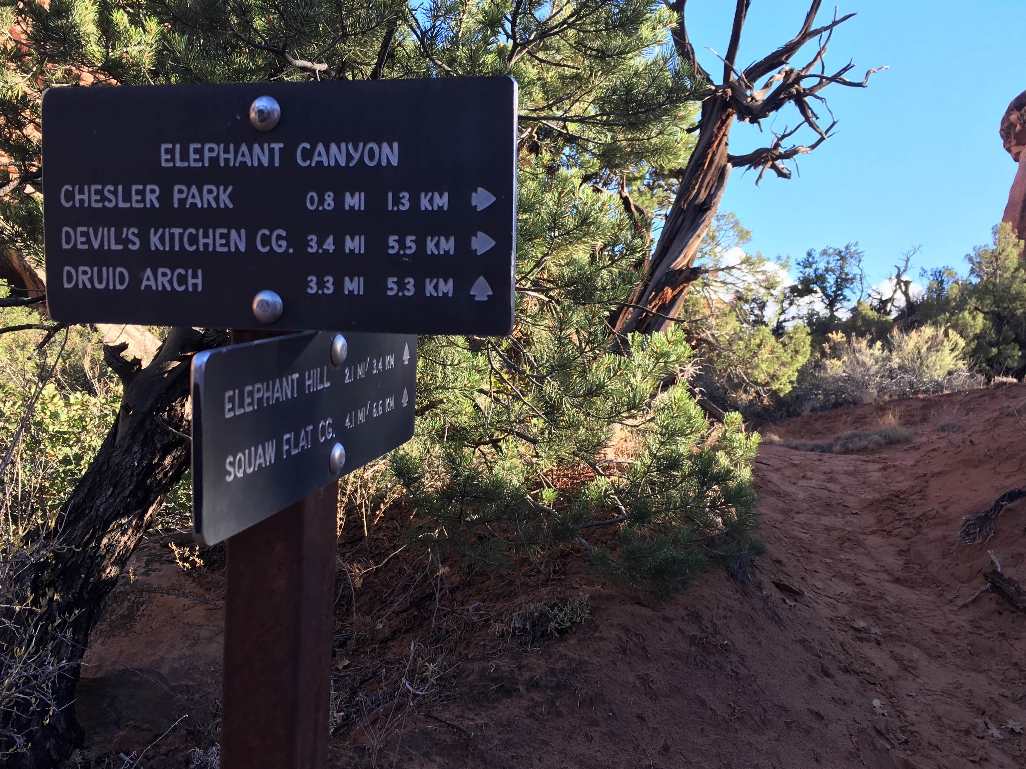 Camper submitted image from Elephant Canyon 2 (EC2) — Canyonlands National Park - 3