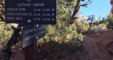 Elephant Canyon 2 (EC2)