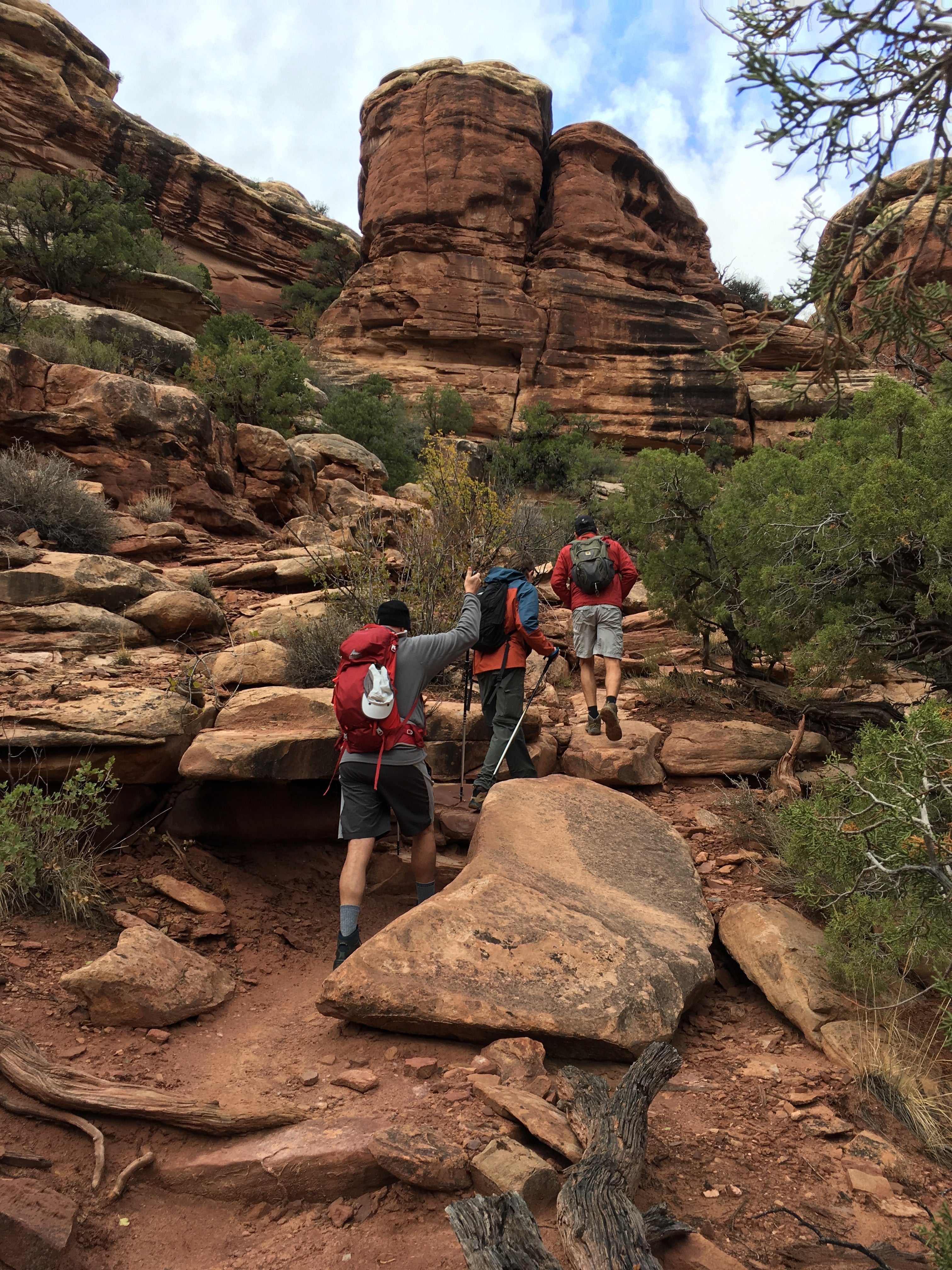 Camper submitted image from Elephant Canyon 3 (EC3) — Canyonlands National Park - 5