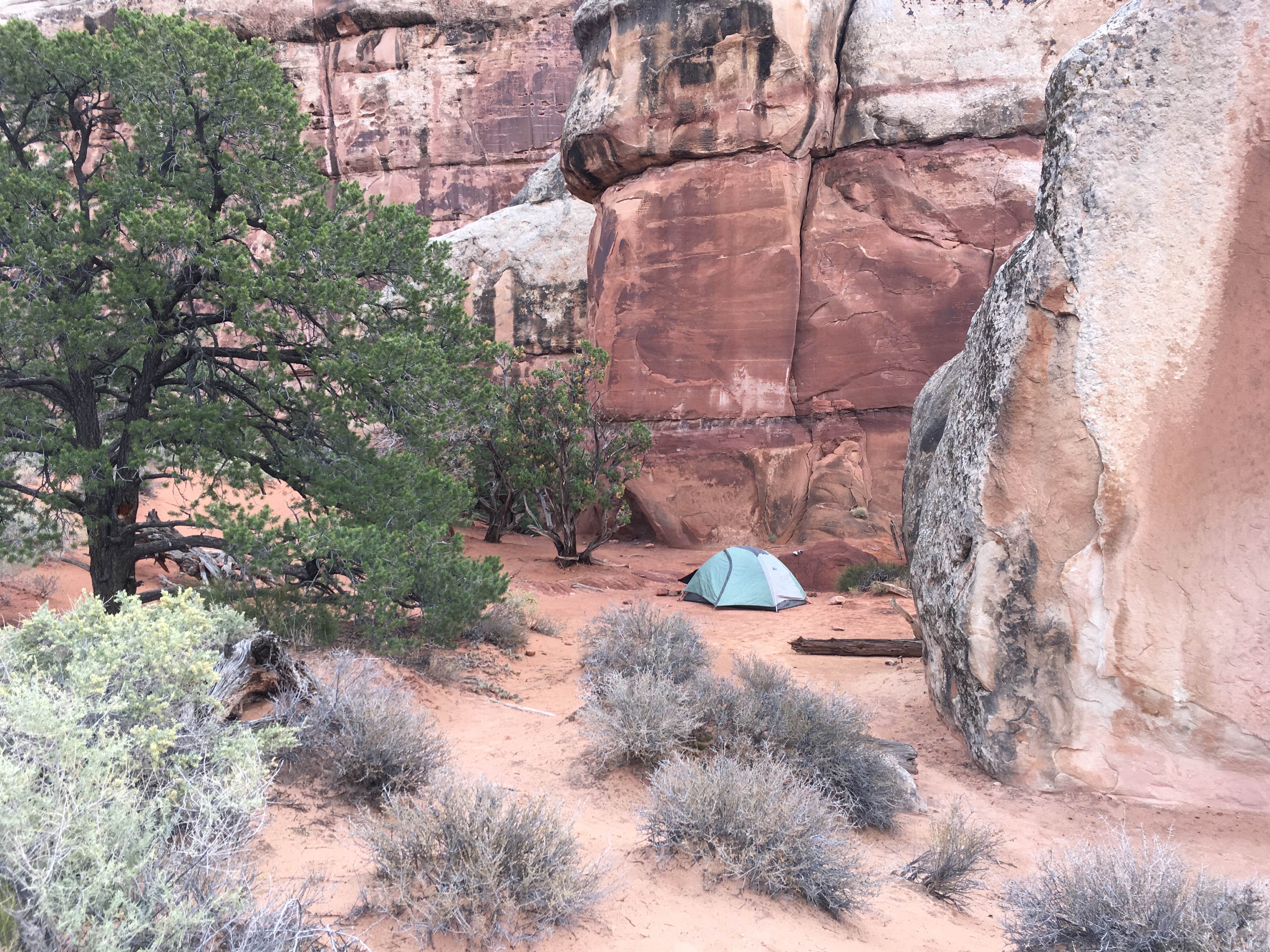 Troy W.'s photo of tent camping at Chesler Park 2 (CP2) campsite in The Needles District — Canyonlands National Park near Canyonlands National Park