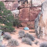 Review photo of Chesler Park 2 (CP2) campsite in The Needles District — Canyonlands National Park by Troy W., October 31, 2018