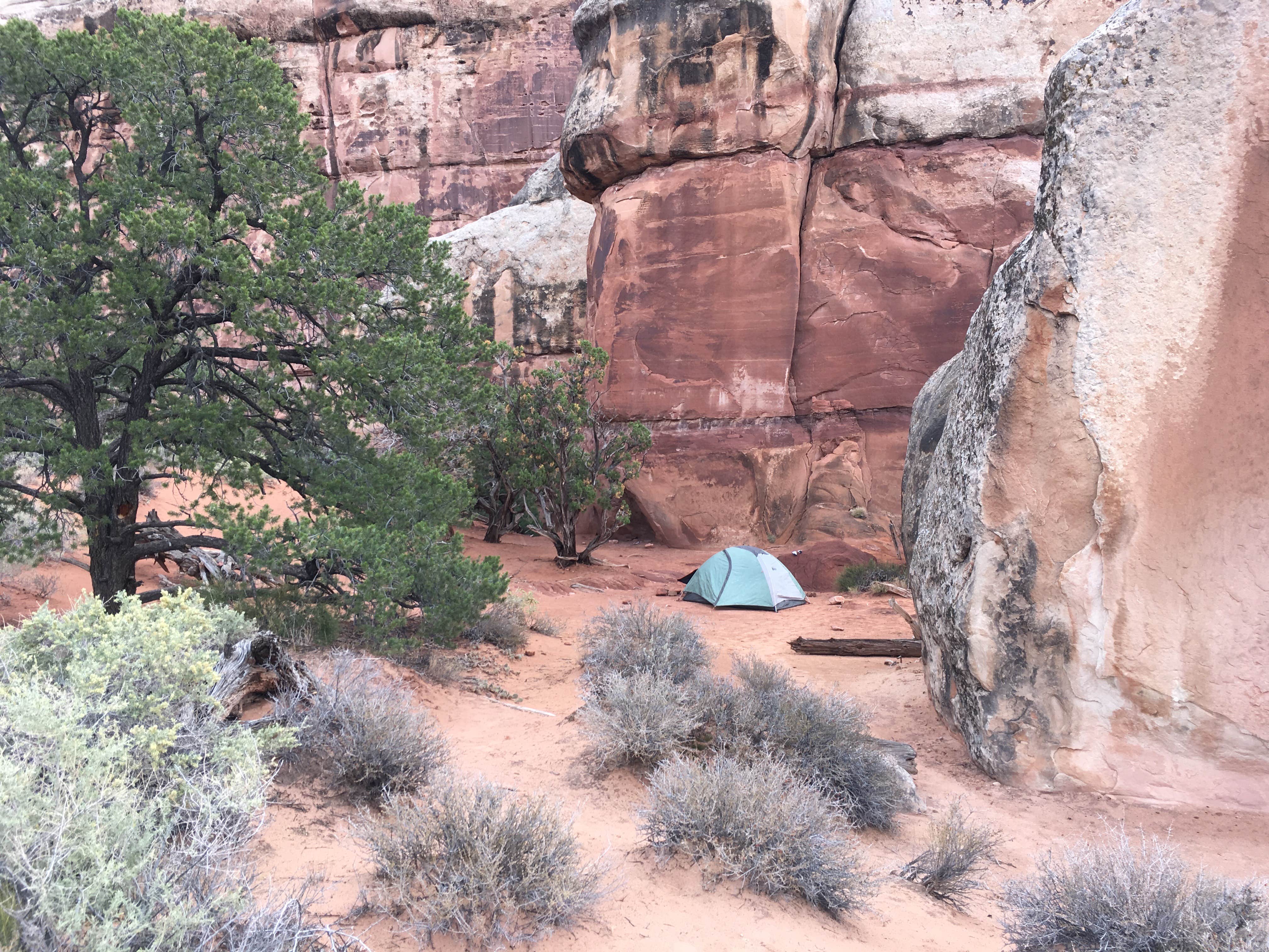 Camper submitted image from Chesler Park 2 (CP2) campsite in The Needles District — Canyonlands National Park - 5