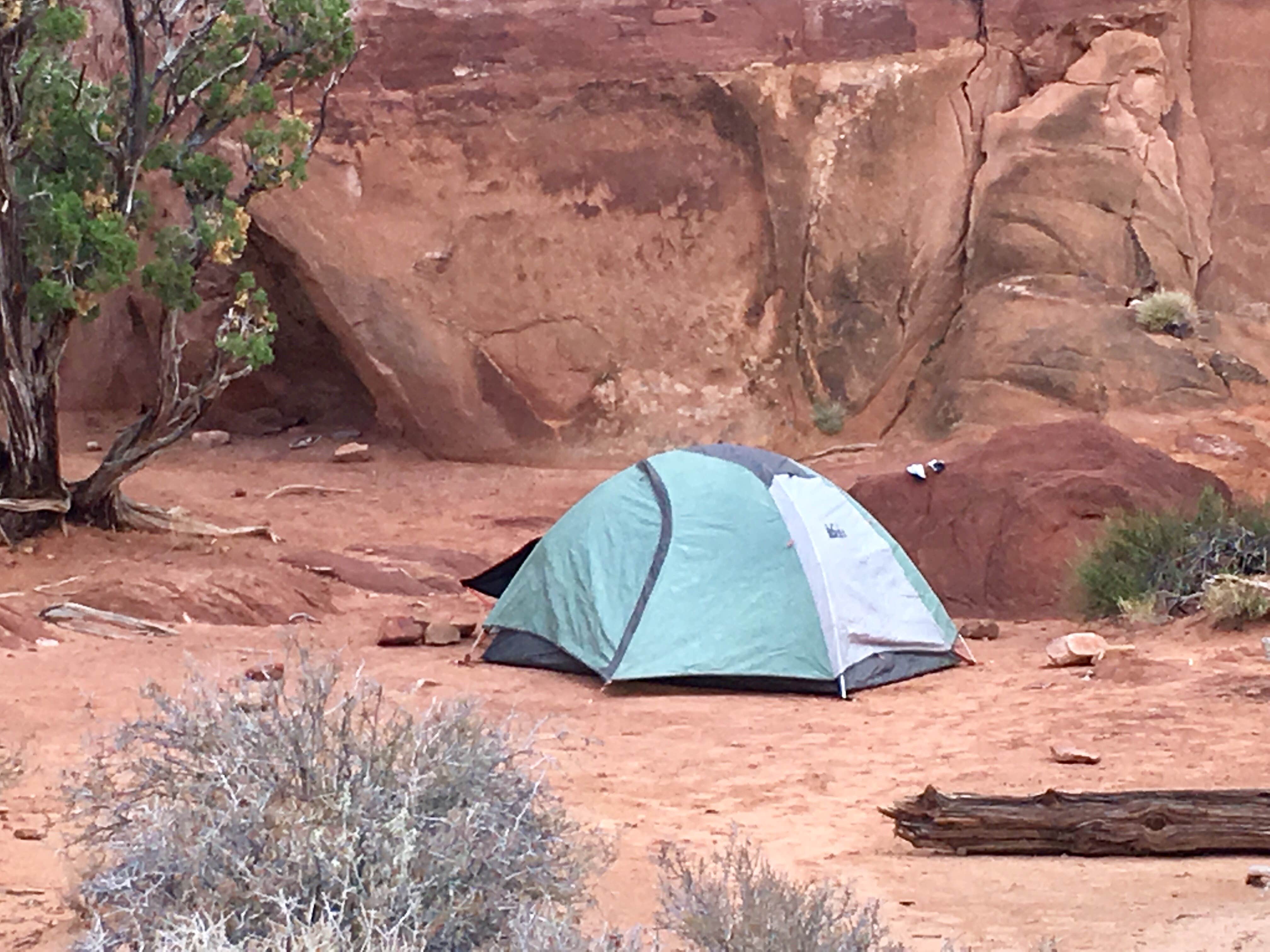 Camper submitted image from Chesler Park 2 (CP2) campsite in The Needles District — Canyonlands National Park - 4