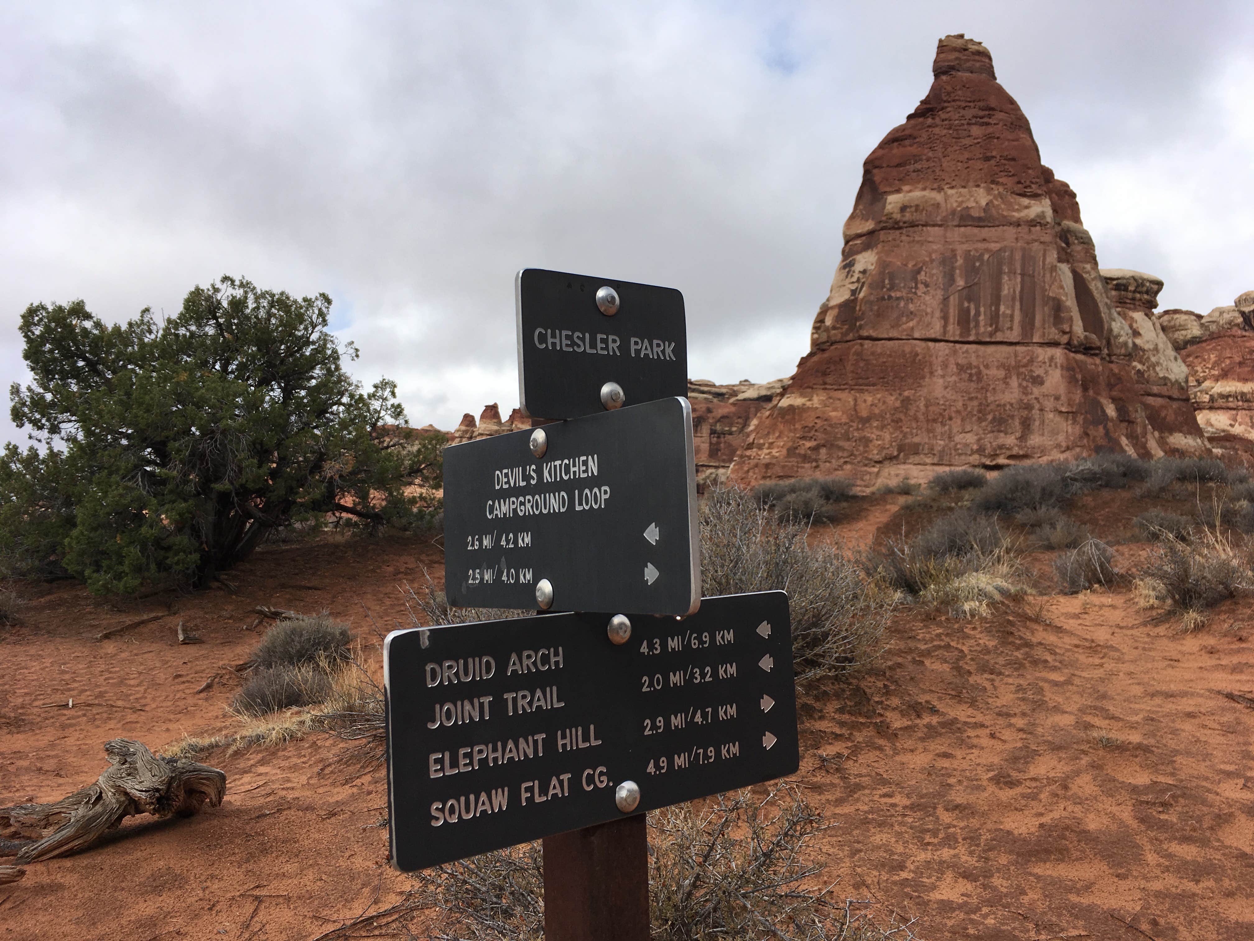 Camper submitted image from Chesler Park 2 (CP2) campsite in The Needles District — Canyonlands National Park - 3