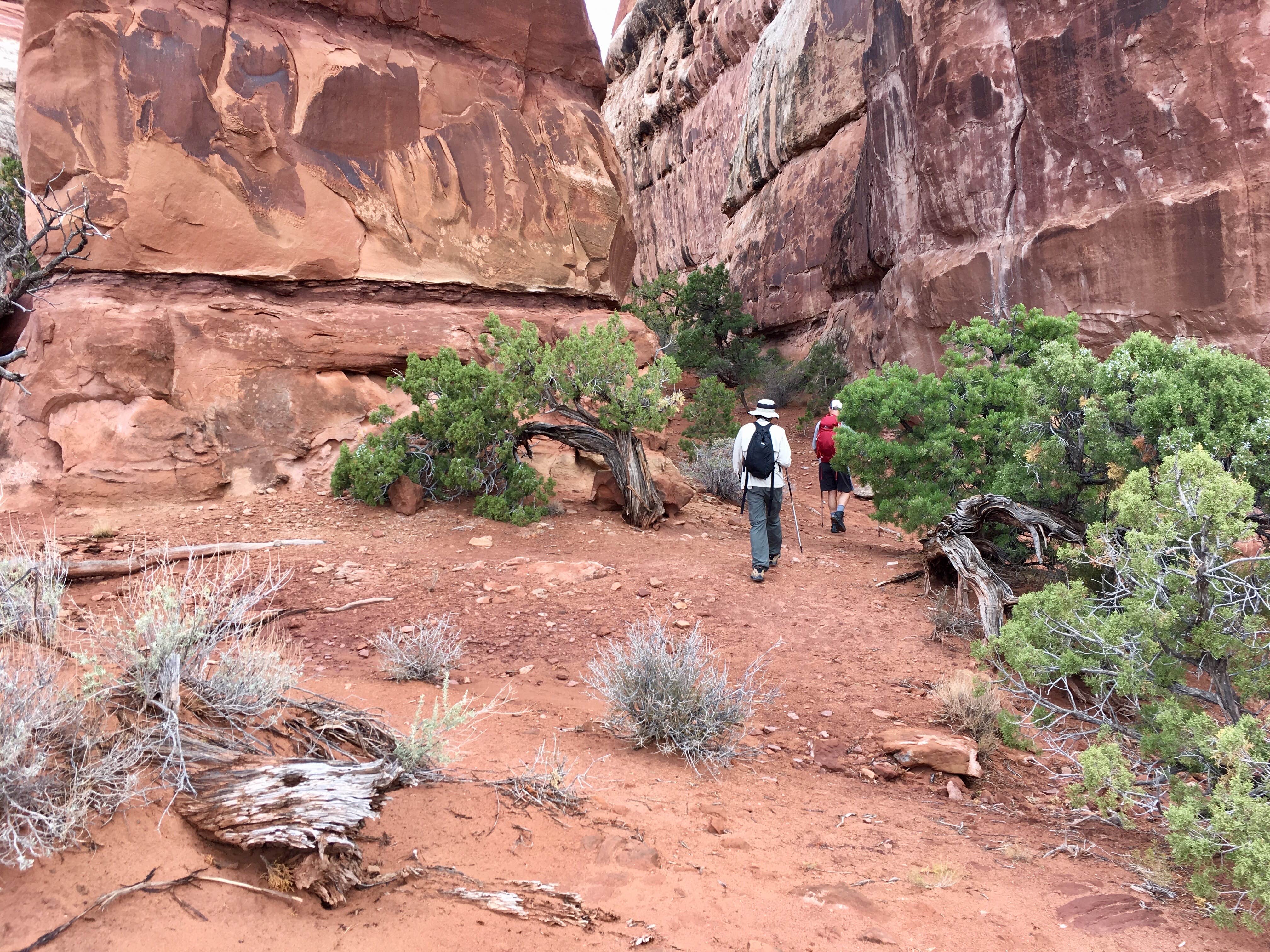 Camper submitted image from Chesler Park 2 (CP2) campsite in The Needles District — Canyonlands National Park - 5