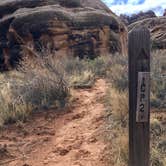 Review photo of Chesler Park 2 (CP2) campsite in The Needles District — Canyonlands National Park by Troy W., October 31, 2018