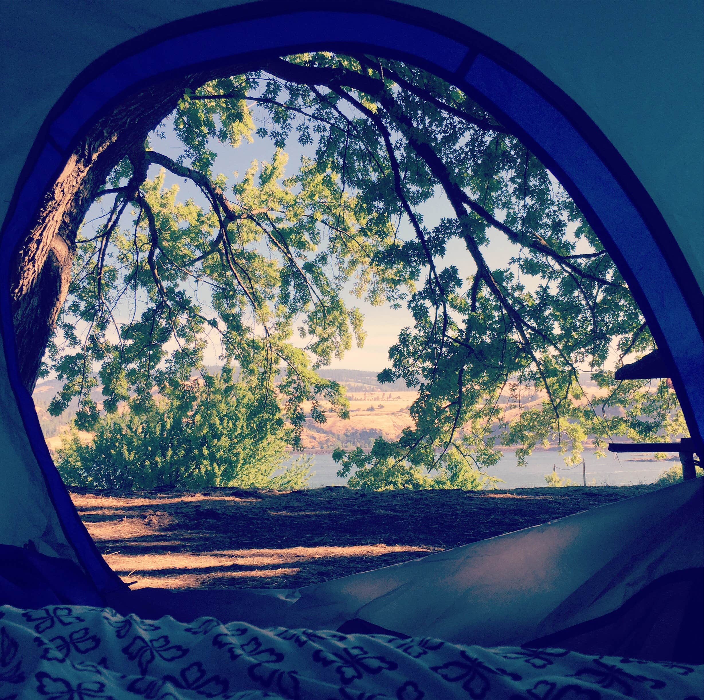 Camper submitted image from Memaloose State Park Campground - 2